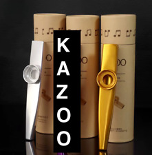 Kazoo mundinstrument begleitin gebraucht kaufen  Berlin