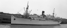 1955 negative steamship for sale  Randolph
