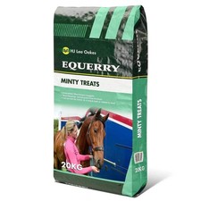 Equerry minty horse for sale  BRENTWOOD