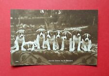 Foto hunde 1930 gebraucht kaufen  Dresden