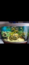 Rena 450lt fish for sale  BISHOP'S STORTFORD