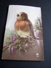 Bird glass eyes for sale  SWANSEA