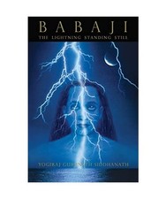 Babaji the lightning gebraucht kaufen  Trebbin