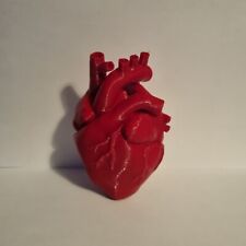 Human anatomical heart for sale  SKELMERSDALE