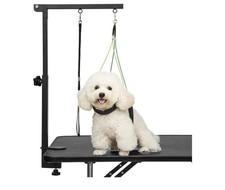 Breeze touch dog for sale  Frederick