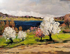 Felice vellan primavera usato  Torino