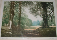 Mark spain woodland for sale  CRAWLEY