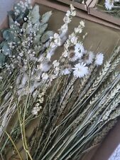 Large dried flower for sale  WESTGATE-ON-SEA