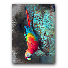 Macaw art card for sale  Pasco