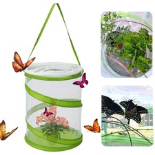Pop insect habitat for sale  LEICESTER