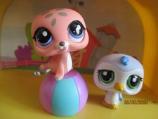 Petshop duo phoque d'occasion  Saint-Omer