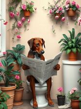Rhodesian ridgeback toilet for sale  DUNSTABLE