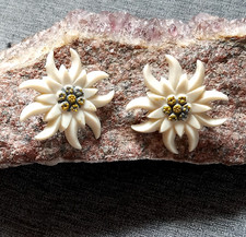 Vintage edelweiss celluloid for sale  Bridgeport