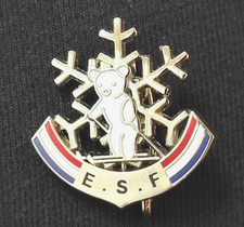 Insigne ski français d'occasion  Épinay-sous-Sénart