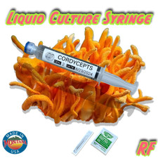 Organic cordyceps liquid for sale  Whitefish