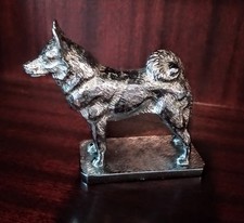 elkhound for sale  ALFRETON