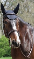 Fenwick equine bonnet for sale  WINCHELSEA