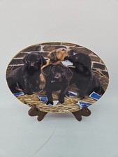 Four aces nigel for sale  Nampa