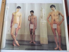 Wandposter akte torsos gebraucht kaufen  Magdeburg