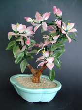Bonsai glücksbaum feng gebraucht kaufen  Bremerhaven