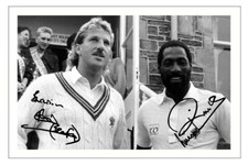 Ian botham viv for sale  UK