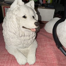 Sandicast samoyed dog for sale  Plano