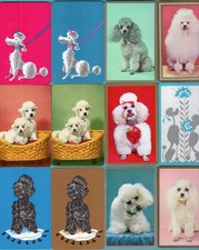 1 Cartão de Jogo Troca Única WACKY POODLE DOG ART PUPPY ESTADO PERFEITO comprar usado  Enviando para Brazil