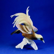 Karl ens oiseau d'occasion Karl ens oiseau d'occasion  Colmar