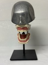 dental phantom for sale dental phantom for sale San Jose
