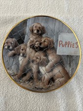 Adopt puppy aspca for sale  Hillsdale