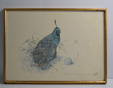 Vintage california quail for sale  Yucca Valley