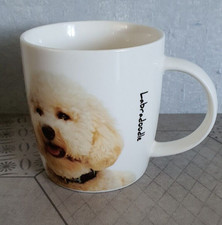 Labradoodle face dog for sale  DEWSBURY