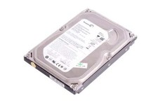 SEAGATE 9FG132-501 9FG132501 250GB SATA 250GB SATA DYSK TWARDY ID131648 na sprzedaż  PL