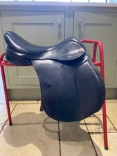 Kent masters pony for sale  LLANFAIRPWLLGWYNGYLL