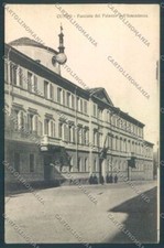 Cuneo città cartolina usato  Gambolo