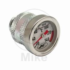 Indicatore temperatura termome usato  Italia
