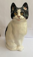 Black white cat for sale  SOUTH CROYDON