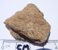 19.2 grams haggounia for sale  Tombstone
