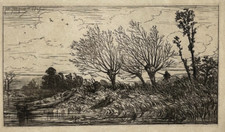 Paysage saules gravure d'occasion  Pluvigner