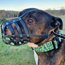 Focinho de cachorro de couro real leve para Staffordshire Bull Terrier Staffy, Stafford comprar usado  Enviando para Brazil