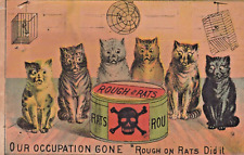 Rough rat poison for sale  Freehold