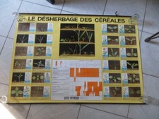 Désherbage céréales bayer d'occasion  Saint-Laurent-de-la-Cabrerisse