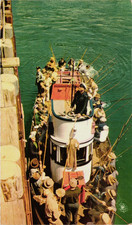 Deep sea sport for sale  Fort Pierce