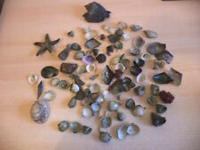 Large lot reef for sale  DEVIZES