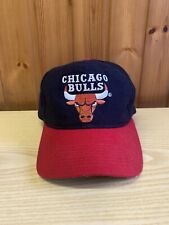 Vintage chicago bulls usato  San Martino Siccomario