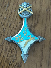 Insigne compagnie saharienne d'occasion  Saint-Pierre-d'Oléron