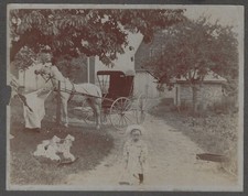Farm rocking horse for sale  Freeville