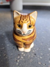 Ginger tabby cat for sale  CIRENCESTER