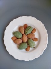 Assiette céramique figuères d'occasion  Septèmes-les-Vallons
