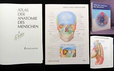 Netter atlas anatomie gebraucht kaufen  Dresden
